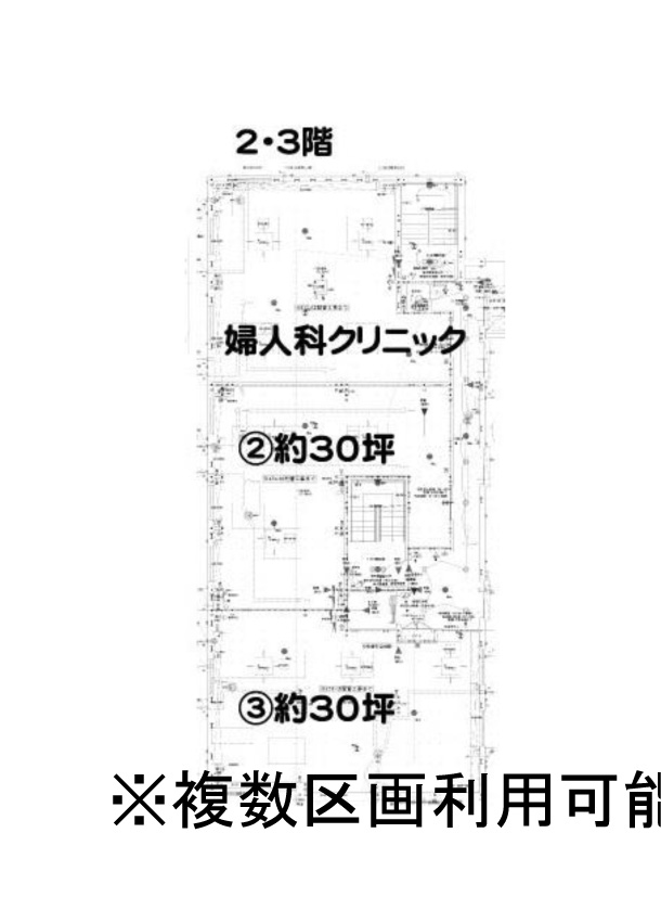 PRAXIS柏